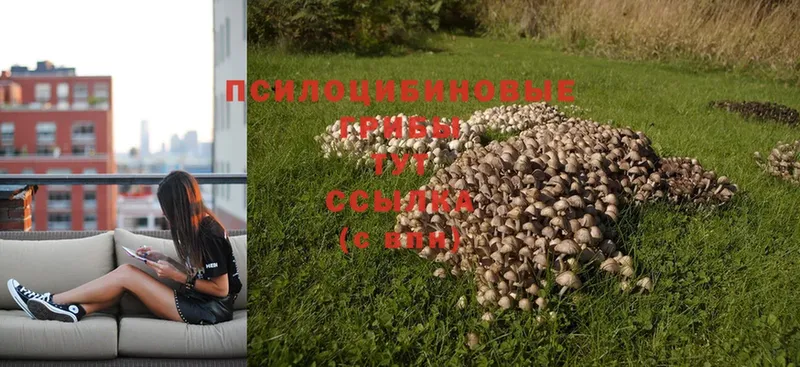 Галлюциногенные грибы MAGIC MUSHROOMS  KRAKEN ONION  сайты даркнета клад  Ак-Довурак 